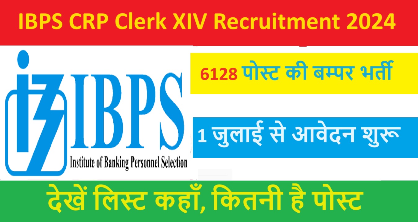 IBPS CRP Clerk XIV Recruitment 2024